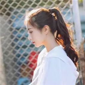 蜘蛛池中的IP地址轮换策略